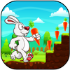 Bunny Run icône
