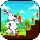 Bunny Run أيقونة