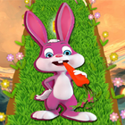 Rabbit Run icono