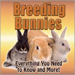 Rabbits Breeding APK download