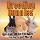 Rabbits Breeding APK