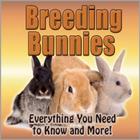 ikon Rabbits Breeding