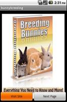 Rabbits Breeding poster