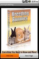 Poster Rabbits Breeding