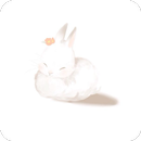 🐰 Cute Bunny Wallpaper 🐰 APK