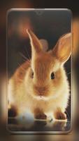 Rabbit Wallpaper HD スクリーンショット 3