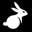 BunnyX VPN icon