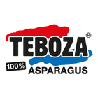 Teboza-icoon