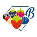 Berry Briljant APK