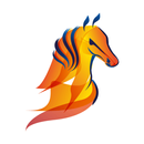 Limburg Paardensport APK
