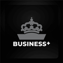 RSG Business APK
