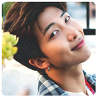 RM BTS Wallpaper KPOP 圖標