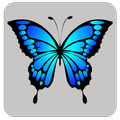 WAStickerApps - Butterfly