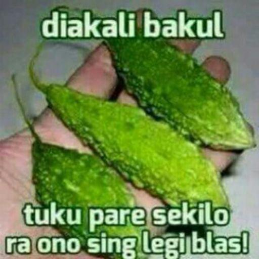 87+ Gambar Binatang Lucu Bahasa Sunda Kekinian 87+ Gambar Binatang Lucu Bahasa Sunda Kekinian