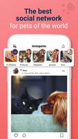Instapetts اسکرین شاٹ 1