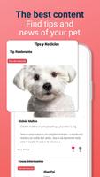 Instapetts اسکرین شاٹ 2