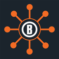 Bushnell Connect