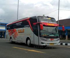 Bus Simulator Indonesia v4.1 capture d'écran 1