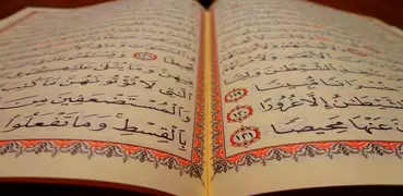 sheikh Nourain Muhamed Siddig full quran offline