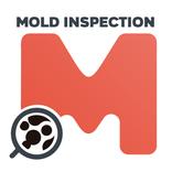 Inspección virtual de moldes