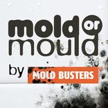 Black Mold Live Wallpaper