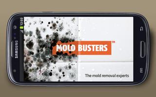 MOLD BUSTERS - The Game Affiche