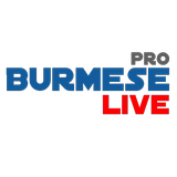 Burmese Live Pro