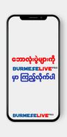 Burmese Live Pro Affiche