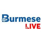 Burmese Live icône