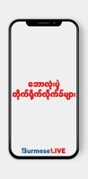 Burmese Live Affiche
