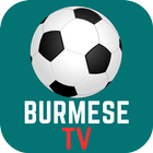 Burmese TV icon