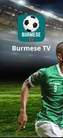 Burmese TV-poster