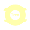 Amazfit T Rex / 2 / Pro WFace