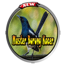 Master Burung Kacer Ringtone-APK