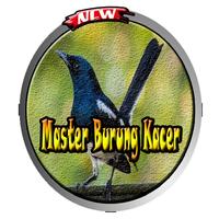 Master Burung Kacer Ringtone Affiche