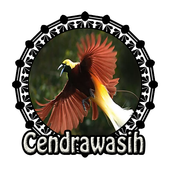 Suara Burung Cendrawasih For Android Apk Download