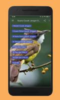 Suara Cucak Jengot Offline capture d'écran 2