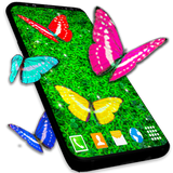 Real Butterflies on Screen icône