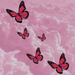 Butterfly Wallpaper