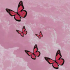 Butterfly Wallpaper আইকন