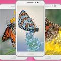 Butterfly wallpaper apk - Cute Animals wallpaper