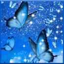 Papel De Parede Borboleta APK