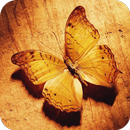 Butterfly Wallpaper APK