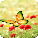 Butterfly Wallpaper - Colorful APK