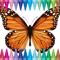 Colorful Butterfly Coloring