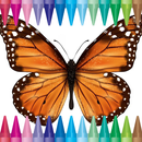 Colorful Butterfly Coloring APK
