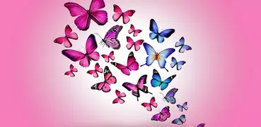 Butterfly Wallpaper