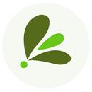 PIT APK