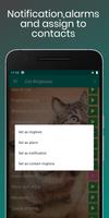 Cat Sounds Ringtones Purr تصوير الشاشة 3
