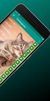 Cat Sounds Ringtones Purr تصوير الشاشة 2